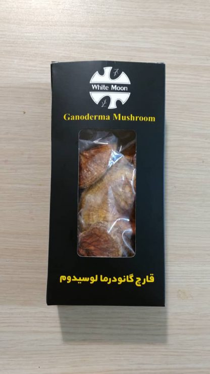 قارچ گانودرما خشک شده 100 گرمی
